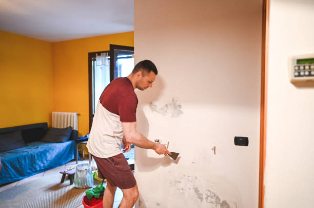 Best Mold Removal Near Me  in East Newark, NJ